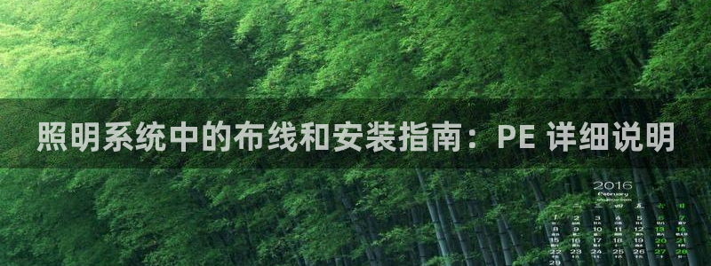 千亿国际的游戏怎么样赚钱：照明系统中的布线和安装指南：PE 详细说明